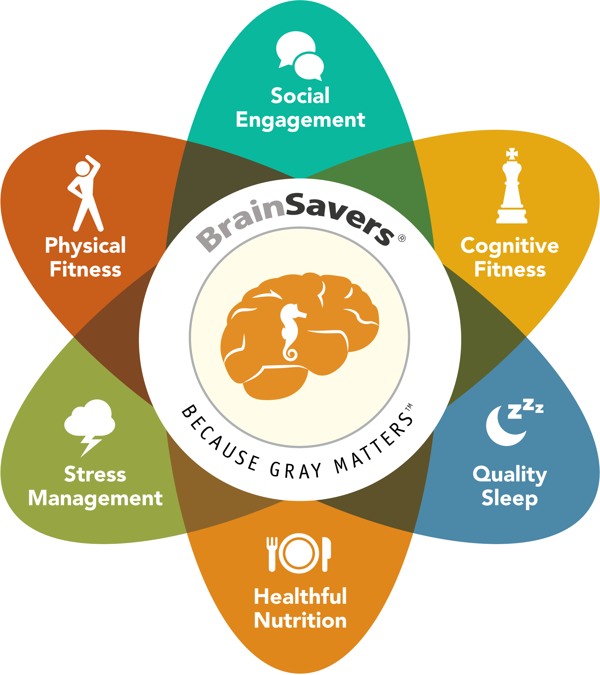 BrainSavers-6 Pillar Graphic (1)