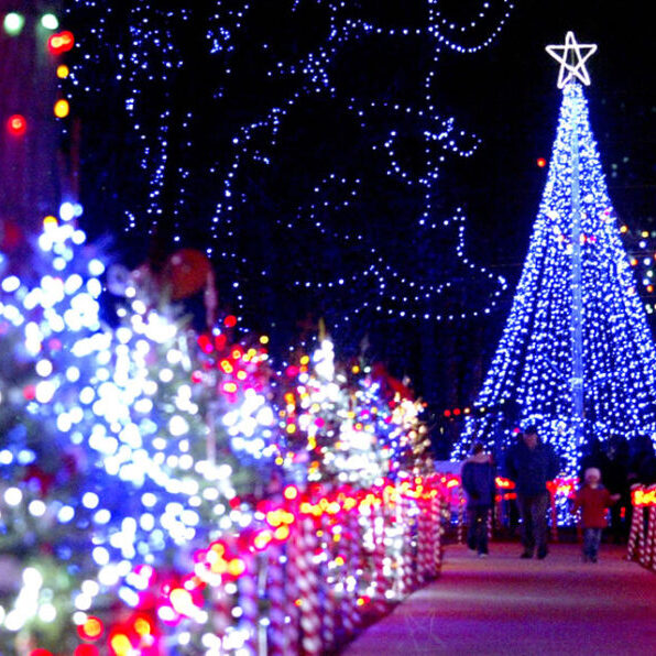 Path-to-Mega-Tree-Rotary-Winter-Wonderland-Marshfield-Wisconsin-1024x596